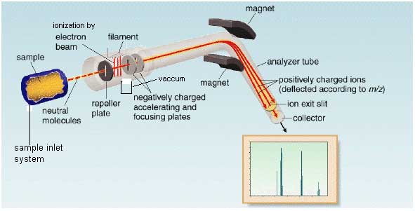 mass-spectrometry-a-short-introduction-chemistry-com-pk