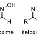 aldoxime and ketoxime