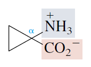 1-Aminocyclopropanecarboxylic acid