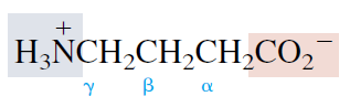 4-Aminobutanoic acid