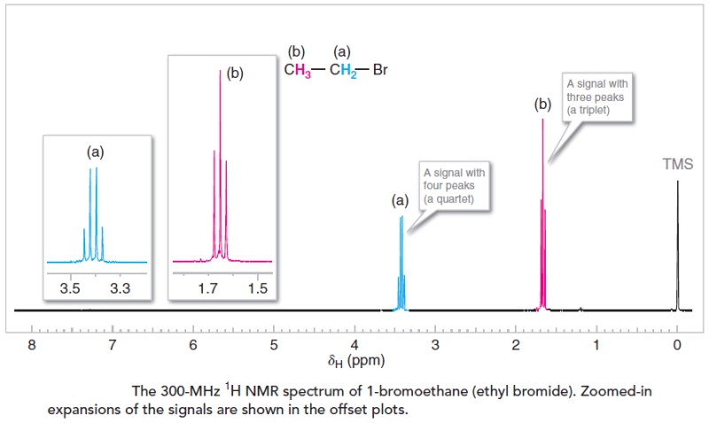 NMR spectrum of 1-bromoethane