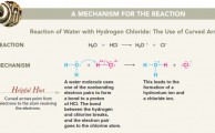 reaction of HCl and water