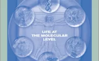 Student Companion to Accompany Fundamentals of Biochemistry - Life at Molecular Level (4th Ed.)