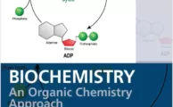 Biochemistry An Organic Chemistry Approach Michael Smith