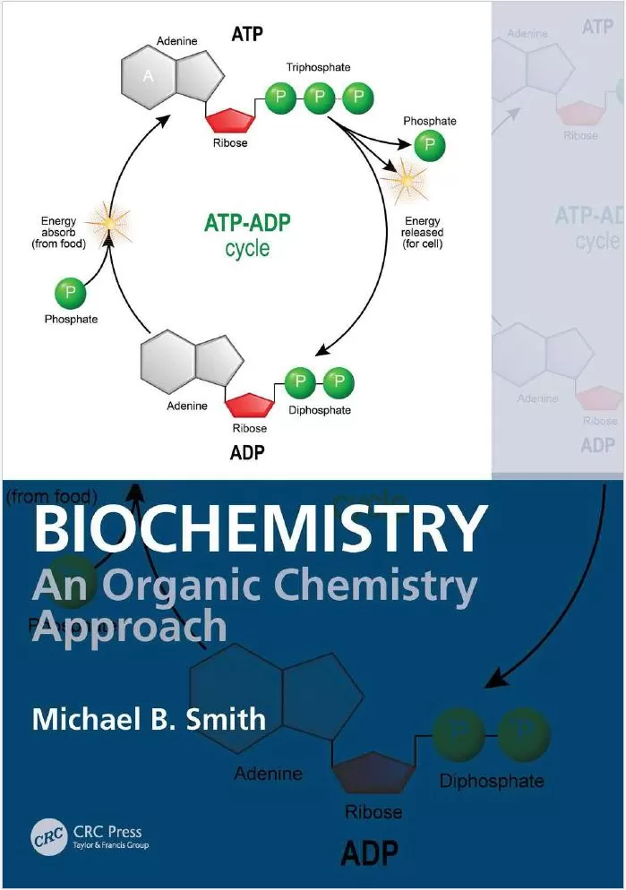Biochemistry An Organic Chemistry Approach Michael Smith