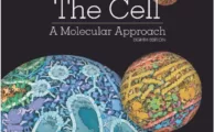 The Cell A Molecular Approach (8th Ed.) By Geoffrey M. Cooper