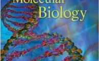 Molecular Biology (5th Ed.) By Rober F. Weaver