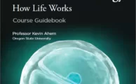 Biochemistry and Molecular Biology: How Life Works (Course Guidebook) By Kevin Ahern