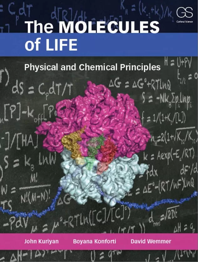 The Molecules of Life Physical and Chemical Principles By John Kuriyan, Boyana Konforti and David Wemmer