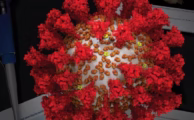 Microbiology (3rd Ed.) by Dave Wessner, Christine Dupont, Trevor Charles & Josh Neufeld