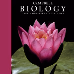 Campbell Biology (13th Ed.) by Lisa Urry, Peter Minorsky, Kerry Hull and Rebecca Orr Campbell Biology (13th Edition) by Lisa A. Urry, Peter V. Minorsky, Kerry L. Hull and Rebecca B. Orr