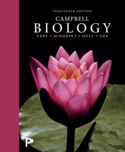 Campbell Biology (13th Edition) by Lisa A. Urry, Peter V. Minorsky, Kerry L. Hull and Rebecca B. Orr